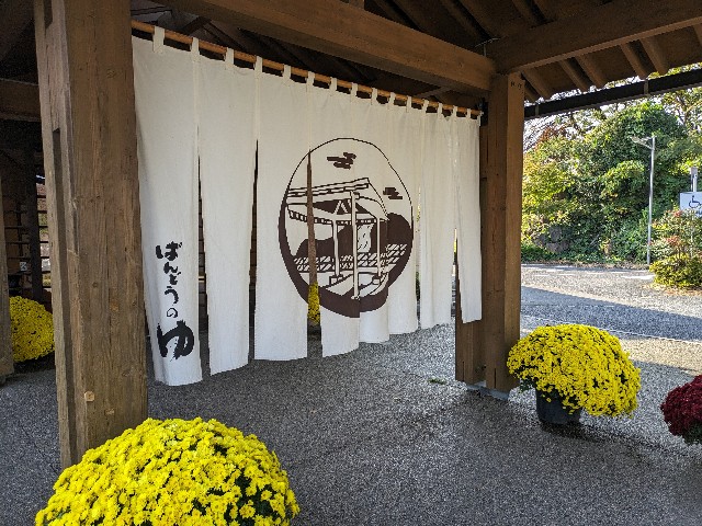 f:id:datsuryokuman:20231110173005j:image
