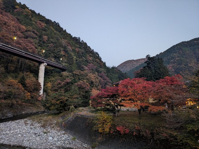 f:id:datsuryokuman:20231112175111j:image