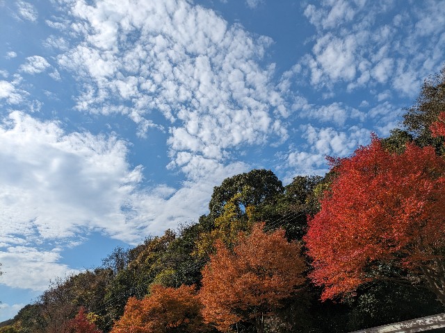 f:id:datsuryokuman:20231123214815j:image