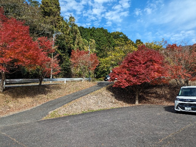 f:id:datsuryokuman:20231123215139j:image