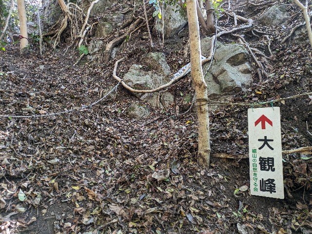 f:id:datsuryokuman:20231123220130j:image