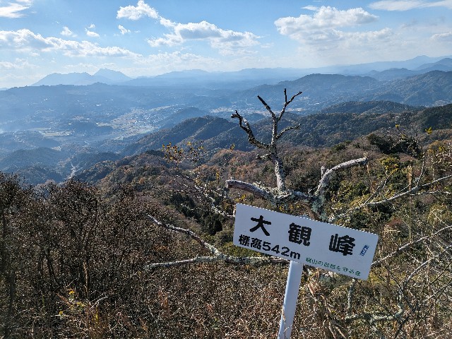 f:id:datsuryokuman:20231123220159j:image