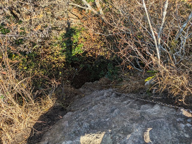 f:id:datsuryokuman:20231123220230j:image