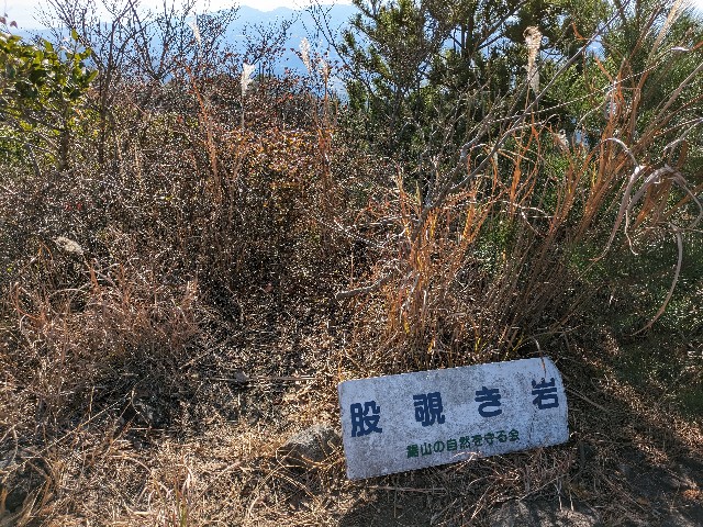 f:id:datsuryokuman:20231123220411j:image