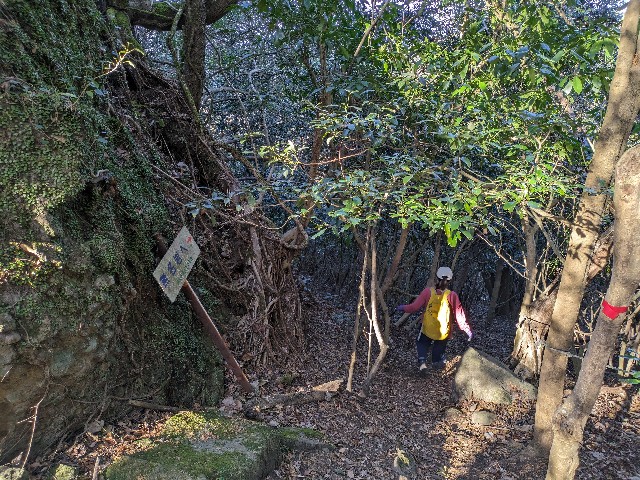 f:id:datsuryokuman:20231123220511j:image