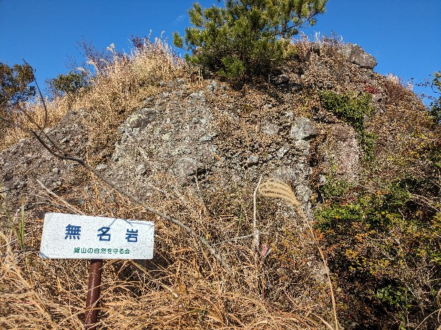 f:id:datsuryokuman:20231123220527j:image