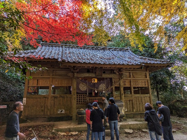 f:id:datsuryokuman:20231123220632j:image