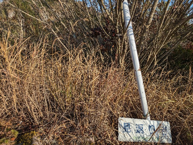 f:id:datsuryokuman:20231123220747j:image
