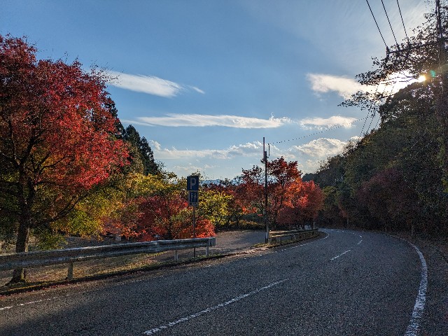 f:id:datsuryokuman:20231123220811j:image