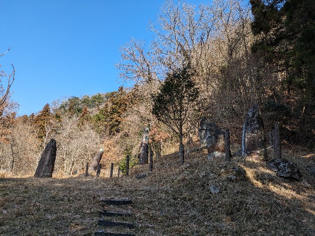 f:id:datsuryokuman:20240113220252j:image