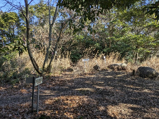 f:id:datsuryokuman:20240113220349j:image