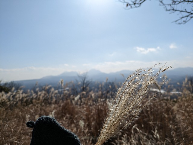 f:id:datsuryokuman:20240113220509j:image