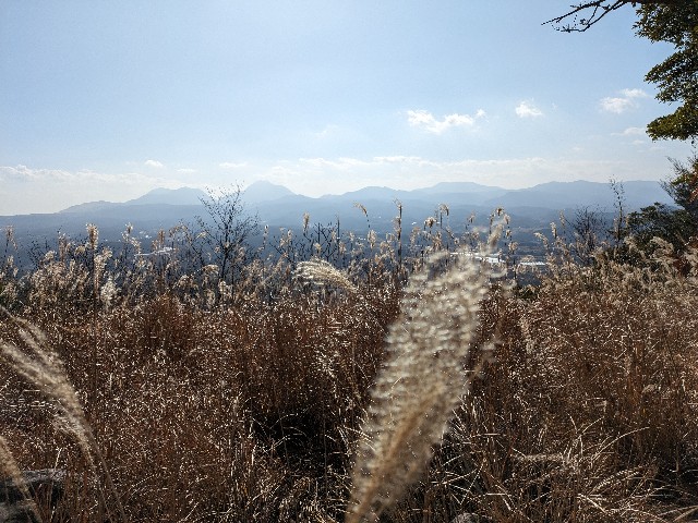 f:id:datsuryokuman:20240113220520j:image