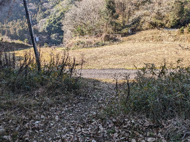 f:id:datsuryokuman:20240113220600j:image