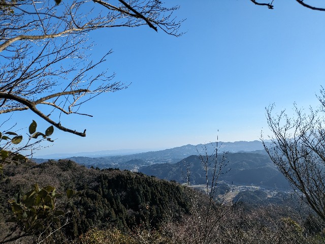 f:id:datsuryokuman:20240113220718j:image