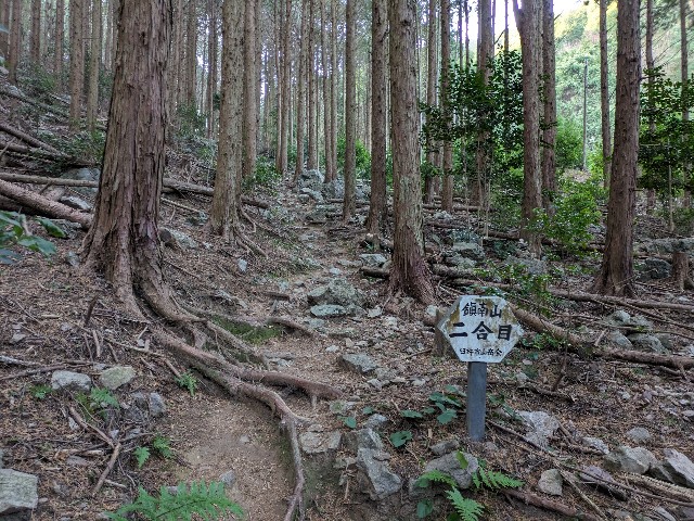 f:id:datsuryokuman:20240129213955j:image f:id:datsuryokuman:20240129213955j:image