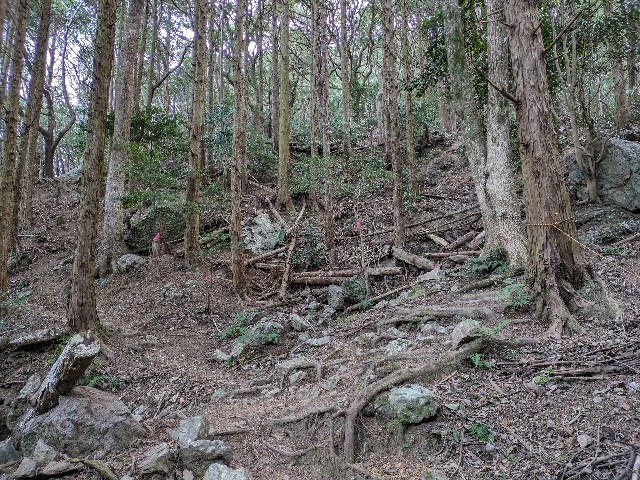 f:id:datsuryokuman:20240129214010j:image f:id:datsuryokuman:20240129214010j:image