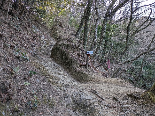 f:id:datsuryokuman:20240129214039j:image f:id:datsuryokuman:20240129214039j:image