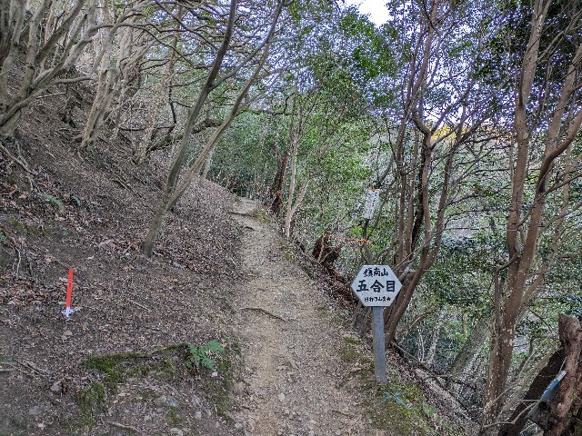 f:id:datsuryokuman:20240129214158j:image f:id:datsuryokuman:20240129214158j:image