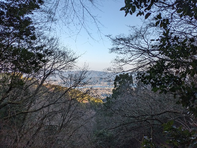 f:id:datsuryokuman:20240129214229j:image f:id:datsuryokuman:20240129214229j:image