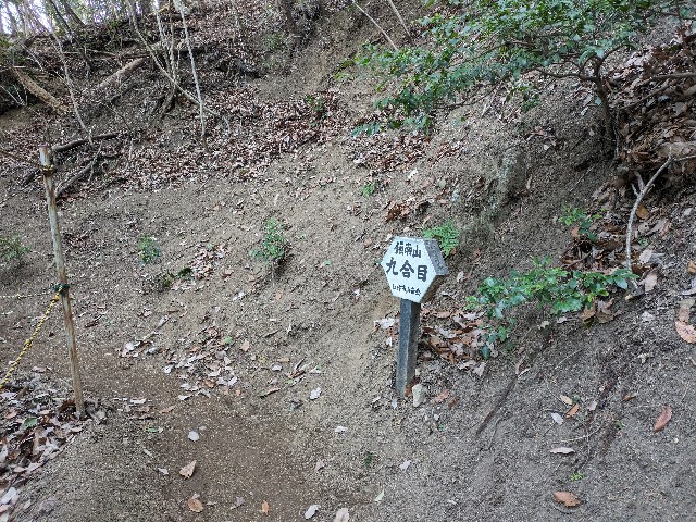 f:id:datsuryokuman:20240129214350j:image f:id:datsuryokuman:20240129214350j:image