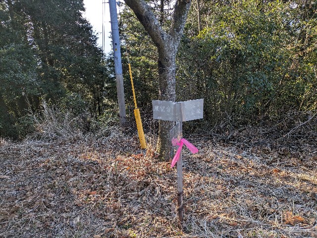 f:id:datsuryokuman:20240129214614j:image f:id:datsuryokuman:20240129214614j:image