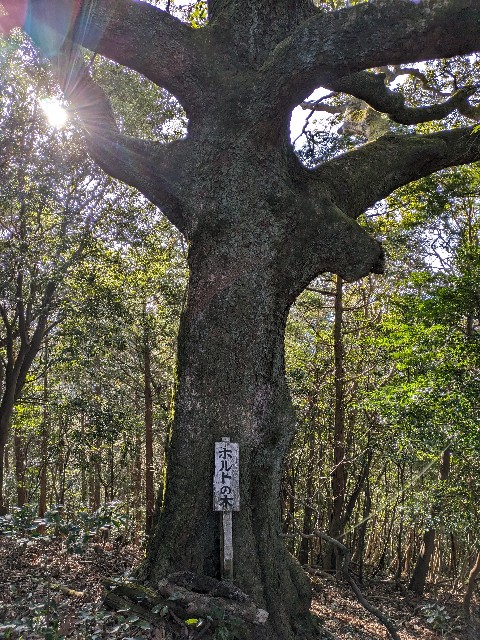 f:id:datsuryokuman:20240129214700j:image f:id:datsuryokuman:20240129214700j:image