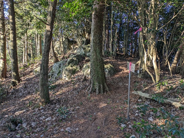 f:id:datsuryokuman:20240129214710j:image f:id:datsuryokuman:20240129214710j:image