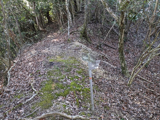 f:id:datsuryokuman:20240129214832j:image f:id:datsuryokuman:20240129214832j:image