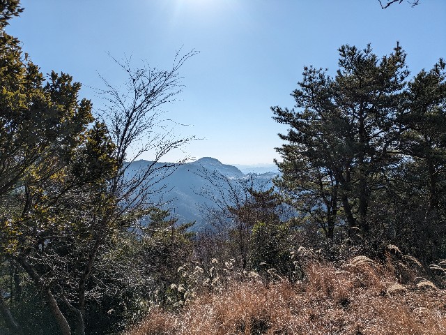 f:id:datsuryokuman:20240129214908j:image f:id:datsuryokuman:20240129214908j:image