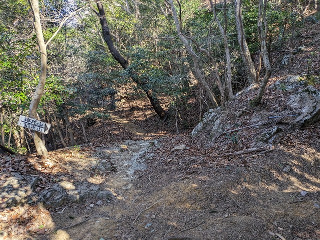 f:id:datsuryokuman:20240129215038j:image f:id:datsuryokuman:20240129215038j:image