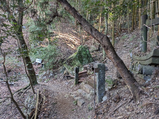 f:id:datsuryokuman:20240129215048j:image f:id:datsuryokuman:20240129215048j:image
