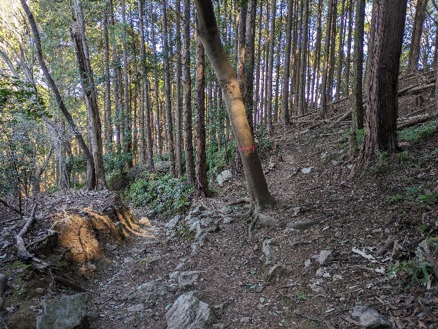 f:id:datsuryokuman:20240129215138j:image f:id:datsuryokuman:20240129215138j:image