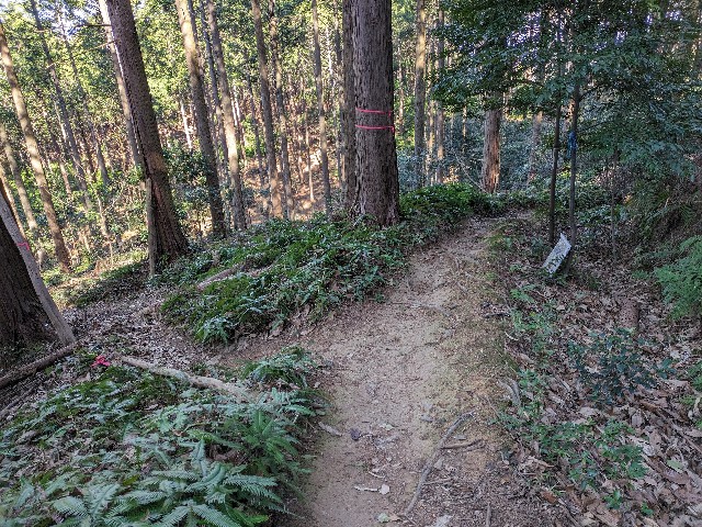 f:id:datsuryokuman:20240129215148j:image f:id:datsuryokuman:20240129215148j:image