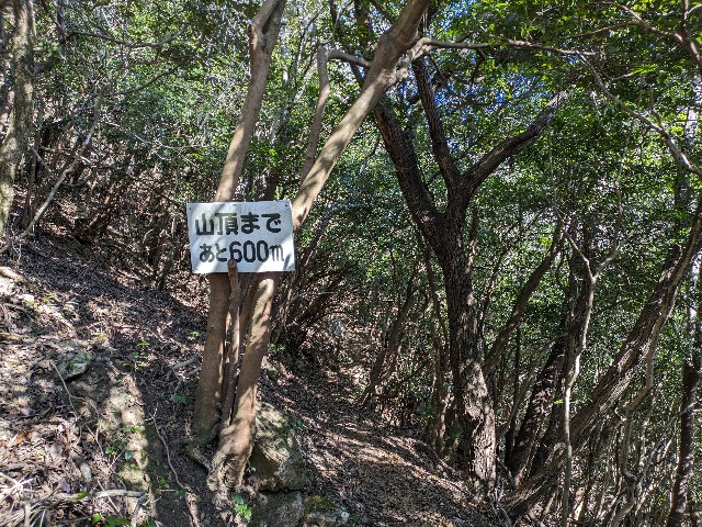 f:id:datsuryokuman:20240129215421j:image f:id:datsuryokuman:20240129215421j:image