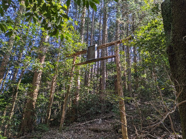 f:id:datsuryokuman:20240129215430j:image f:id:datsuryokuman:20240129215430j:image