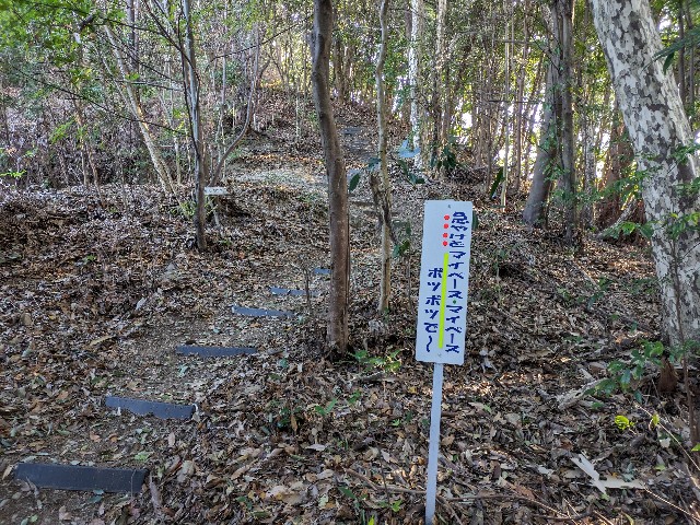 f:id:datsuryokuman:20240129222030j:image