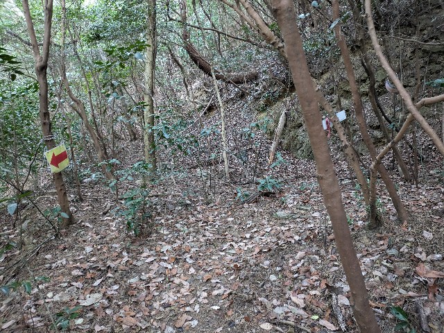 f:id:datsuryokuman:20240129222038j:image