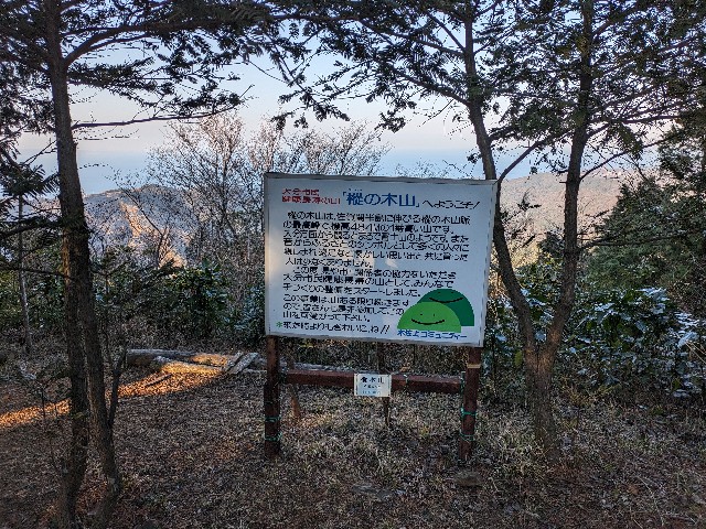 f:id:datsuryokuman:20240129222052j:image