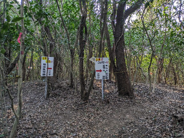 f:id:datsuryokuman:20240129222119j:image