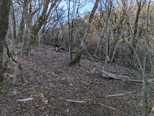f:id:datsuryokuman:20240219230749j:image f:id:datsuryokuman:20240219230749j:image