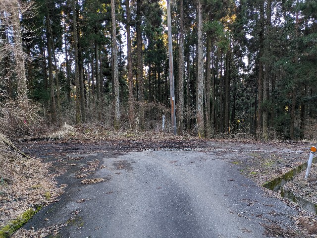 f:id:datsuryokuman:20240219230821j:image f:id:datsuryokuman:20240219230821j:image