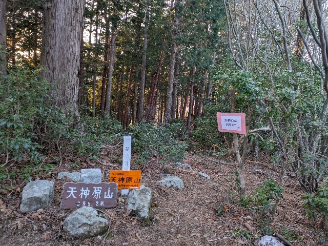 f:id:datsuryokuman:20240219231526j:image