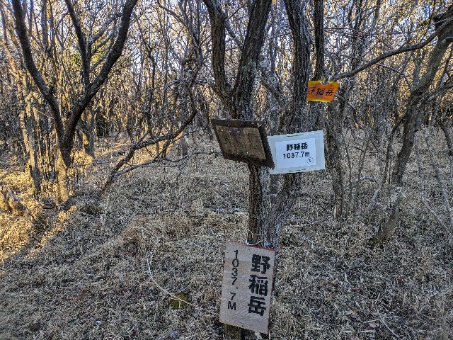 f:id:datsuryokuman:20240219232012j:image f:id:datsuryokuman:20240219232012j:image