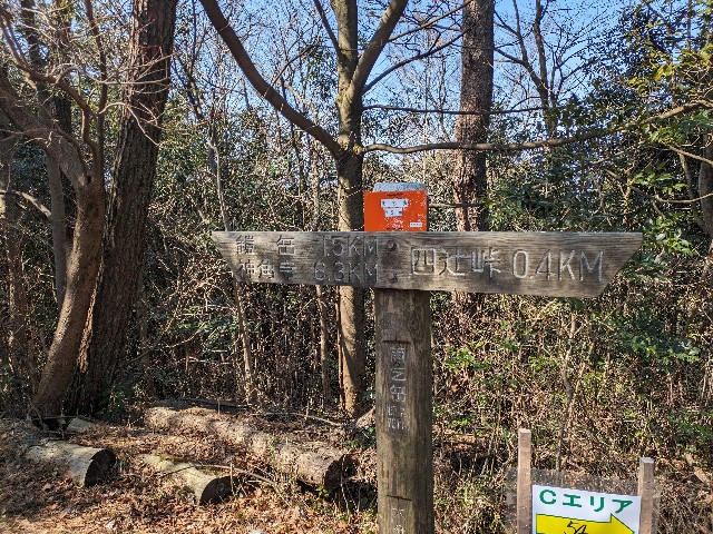 f:id:datsuryokuman:20240310231018j:image