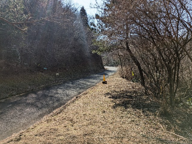 f:id:datsuryokuman:20240310231236j:image