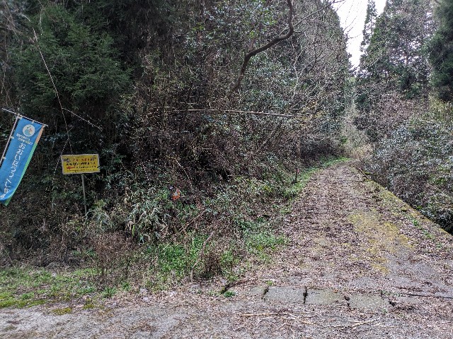 f:id:datsuryokuman:20240331120117j:image