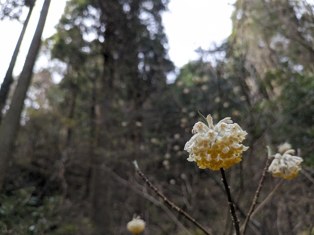 f:id:datsuryokuman:20240331120152j:image