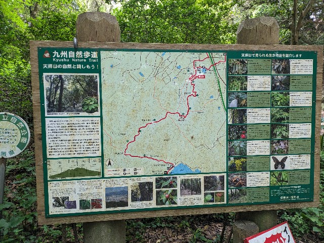 f:id:datsuryokuman:20240511225624j:image