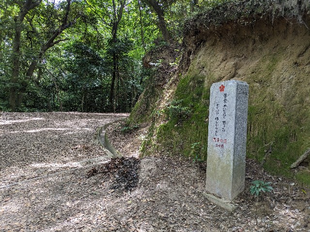 f:id:datsuryokuman:20240511225640j:image